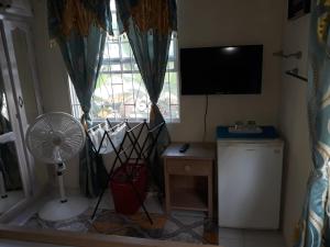 TV a/nebo společenská místnost v ubytování Sue's Homestay