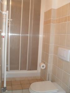 een badkamer met een toilet en een douche bij osteria b&b il barcollo in Limone Piemonte
