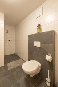 La salle de bains est pourvue d'une douche et de toilettes. dans l'établissement Rosenhaus-1, à Schwarzenberg im Bregenzerwald