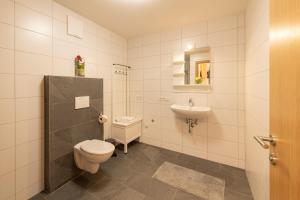 La salle de bains est pourvue de toilettes et d'un lavabo. dans l'établissement Rosenhaus-1, à Schwarzenberg im Bregenzerwald