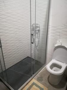 ein Bad mit einer Dusche und einem WC in der Unterkunft Casa Rural Rio Cabrera in Las Médulas