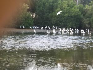 Paesaggio naturale nelle vicinanze dell'affittacamere