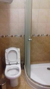 La salle de bains est pourvue d'une douche et de toilettes blanches. dans l'établissement Готель АС Ясіня, à Yasinya