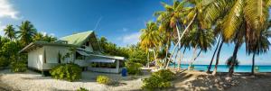 a house on the beach with palm trees at Fafarua Private Island in Tikehau