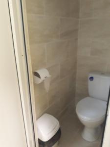 ein Bad mit WC und Toilettenpapier in der Unterkunft Хостел АС Рахів in Rachiw