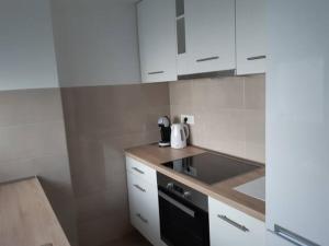 kuchnia z białymi szafkami i czarnym piekarnikiem w obiekcie Studio apartment Koko w mieście Rijeka