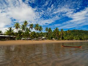 un barco en el agua en una playa con palmeras en Playa de Oro Lodge, en Bahía Solano