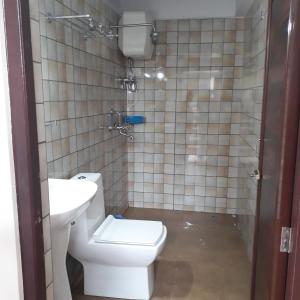 a bathroom with a toilet and a sink at Little Singamari Home Stay in Darjeeling