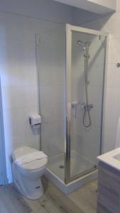 a bathroom with a shower with a toilet and a sink at Le Beauregard in Brive-la-Gaillarde