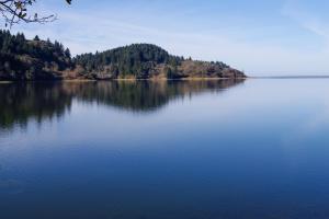 Gallery image of Stone Lagoon Cabin in Orick