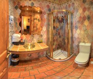 a bathroom with a shower and a sink and a toilet at Hotel Boutique Bodegas De Arnes - Adults Only in Graus