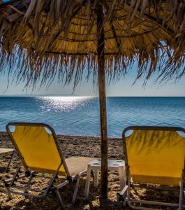 two chairs and an umbrella on the beach at Philoxenia Beach in Nea Vrasna
