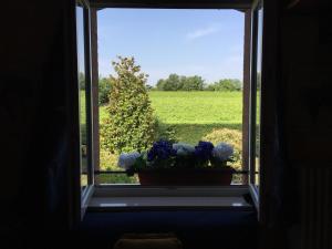 una ventana con una maceta en el alféizar de la ventana en Casa San Marco, en Castelnuovo del Garda