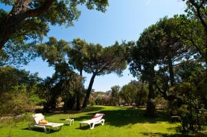 dos sillas y una mesa en un parque con árboles en Villa Les Lieges de Palombaggia en Porto Vecchio