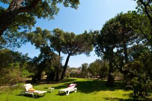 two chairs and a table in a park with trees at Villa Les Lieges de Palombaggia in Porto-Vecchio