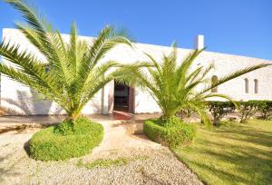 twee palmbomen voor een gebouw bij Villa Dar Sultana in Essaouira