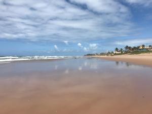 een leeg strand met palmbomen en de oceaan bij Casa Maury in Lauro de Freitas