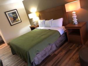 ein Hotelzimmer mit einem großen Bett mit zwei Nachttischen in der Unterkunft Countryside Inn in Harleyville