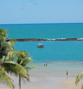 un barco en el agua en una playa con una palmera en Pousada Praia da Barra en Barra de São Miguel