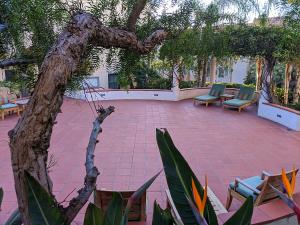 a brick patio with chairs and a tree and a tree at Grande Colonial La Jolla in San Diego