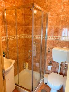 a bathroom with a shower and a toilet at Duarte Houses - Casa T1 - com vista mar in Nazaré