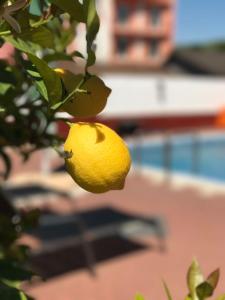 Foto dalla galleria di Pensiunea Redabel a Cojocna Altre 13 foto