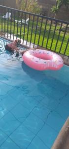 un hombre en una piscina con una balsa rosa en Montemira Private House, en Ica