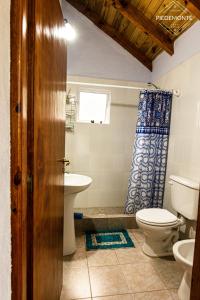 a bathroom with a toilet and a sink at Cabaña Piedemonte in Lago Puelo