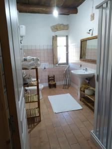 bagno con lavandino, servizi igienici e specchio di Domus Antiga Appartamenti a San Giovanni Suèrgiu