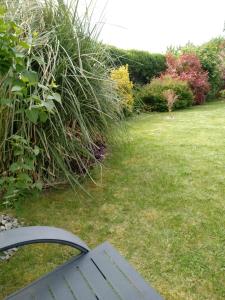 a bench sitting in the grass in a yard at chambre moderne en campagne in Le Calvaire