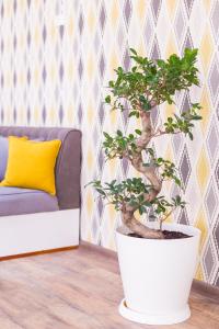 Afbeelding uit fotogalerij van MANIJA Hostel in Samarkand