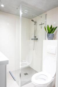 a white bathroom with a toilet and a shower at Studio Puuur in Zandvoort +17 photos