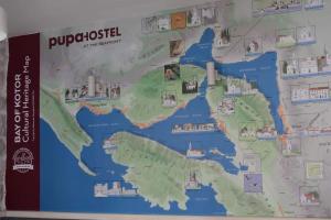 Fotografie z fotogalerie ubytování Hostel Pupa v destinaci Kotor