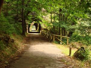 ein Feldweg mit einem Bogen in der Ferne in der Unterkunft Hotel Torrepalacio in Proaza