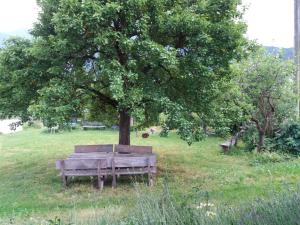 Zahrada ubytování Köstlhof, Familie Hassler