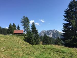 dom na wzgórzu z drzewami i górami w obiekcie Jagdhütte Gammeringalm w mieście Spital am Pyhrn
