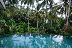 a swimming pool in front of some palm trees at Villa Dua Hati in Ubud