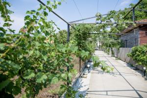 Giardino di Guest House Sofia