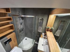 弗次瓦夫的住宿－Soft Loft Legnicka，带淋浴、卫生间和盥洗盆的浴室