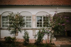 Vonkajšia záhrada v ubytovaní Plitzner Belvárosi Apartmanház