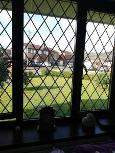 a window with a view of a field of grass at Little Cosy Cwtsh in Pontyclun