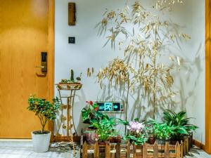 静时文化酒店(重庆火车北站店)外面的花园