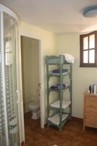 ein Badezimmer mit einer Dusche und einem grünen Regal mit Handtüchern in der Unterkunft Maison-Limoux Chambre D'Hote Limoux 11300 in Limoux