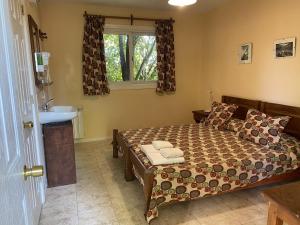 1 dormitorio con cama, lavabo y ventana en Hostel Los Pioneros en El Calafate