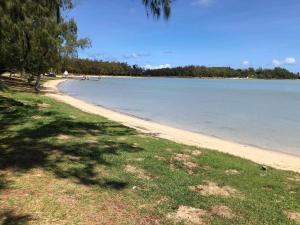 a view of a beach with trees and the water at Aashsweet Villa in Calodyne