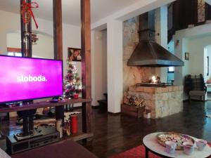 a living room with a tv and a fireplace at Ljubičin Konak in Bajina Bašta