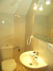 a bathroom with a toilet and a sink and a mirror at TARRACO 20 (BOLLERIA) in L'Estartit