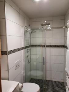y baño con ducha y aseo. en Exklusive moderne 2 Zi. Wohnung in ruhiger Lage, en Schechingen