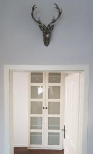 una lámpara de araña cuelga sobre un armario con puertas de cristal en Bismarck-Apartment en Kaiserslautern