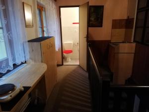 ein Bad mit WC und eine Tür zu einem Zimmer in der Unterkunft Penzion Ski in Karlova Studánka
